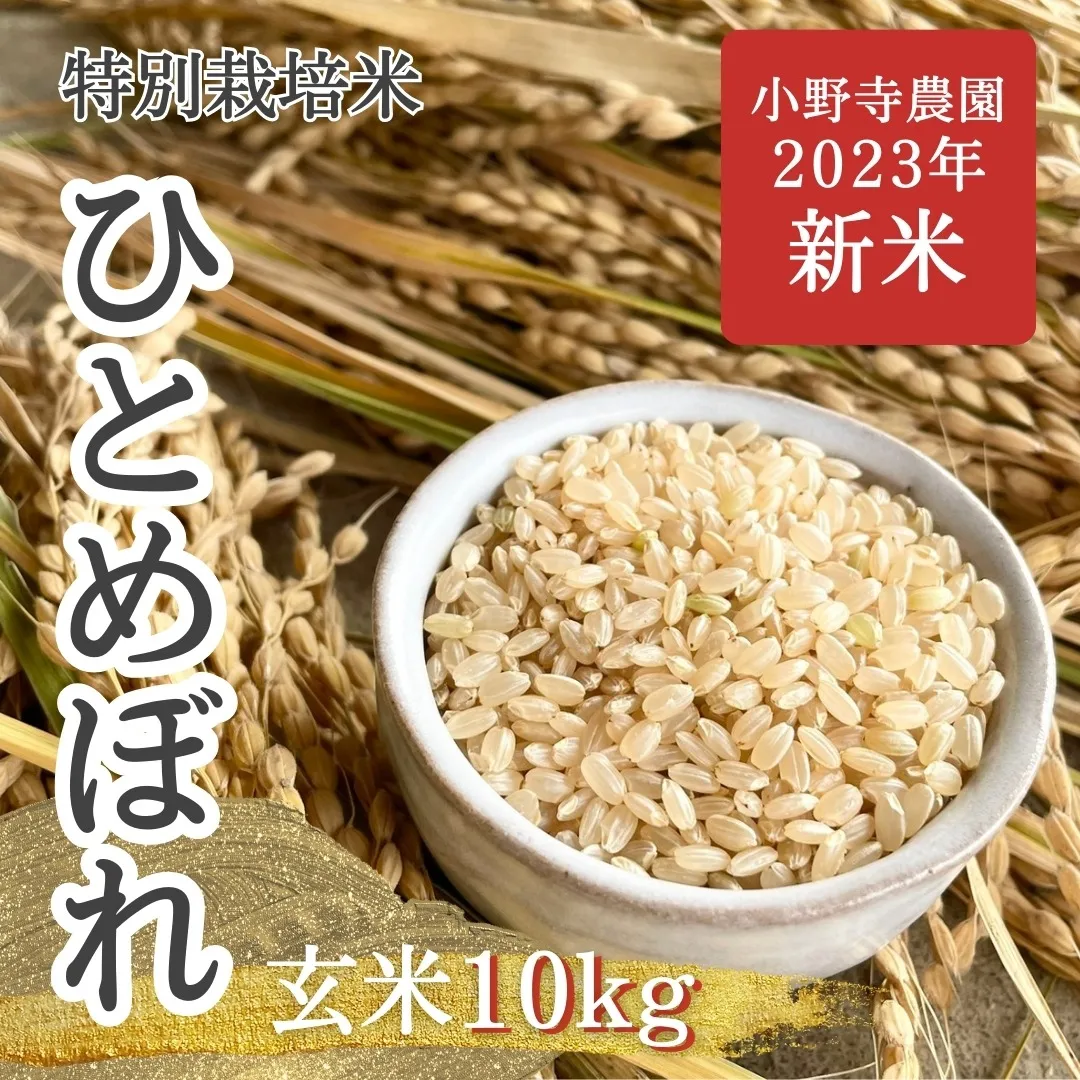 【新米】ひとめぼれ 特別栽培米【玄米】10kg<br>(送料無料）