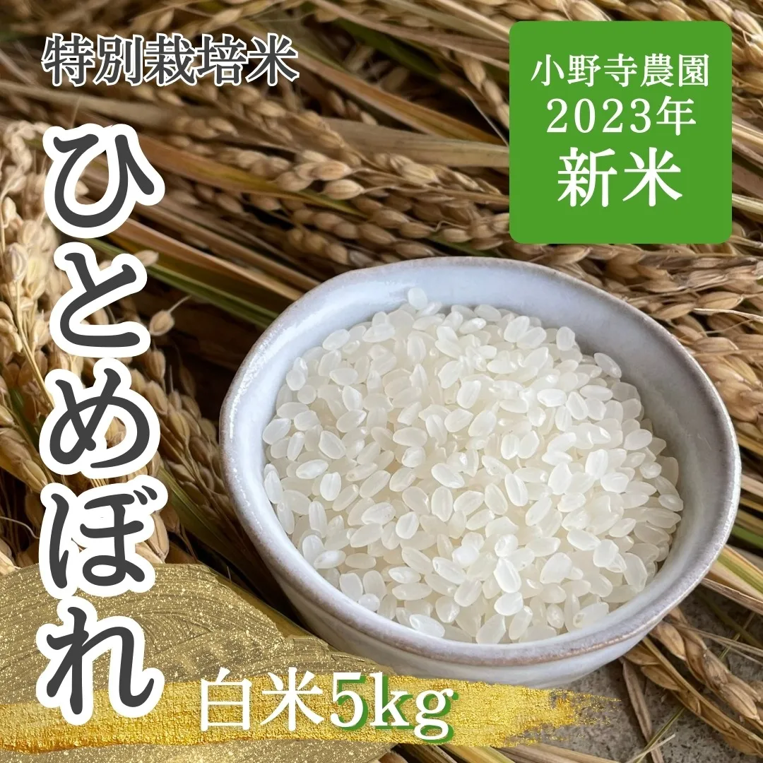 【新米】ひとめぼれ 特別栽培米白米5kg<br>(送料無料）