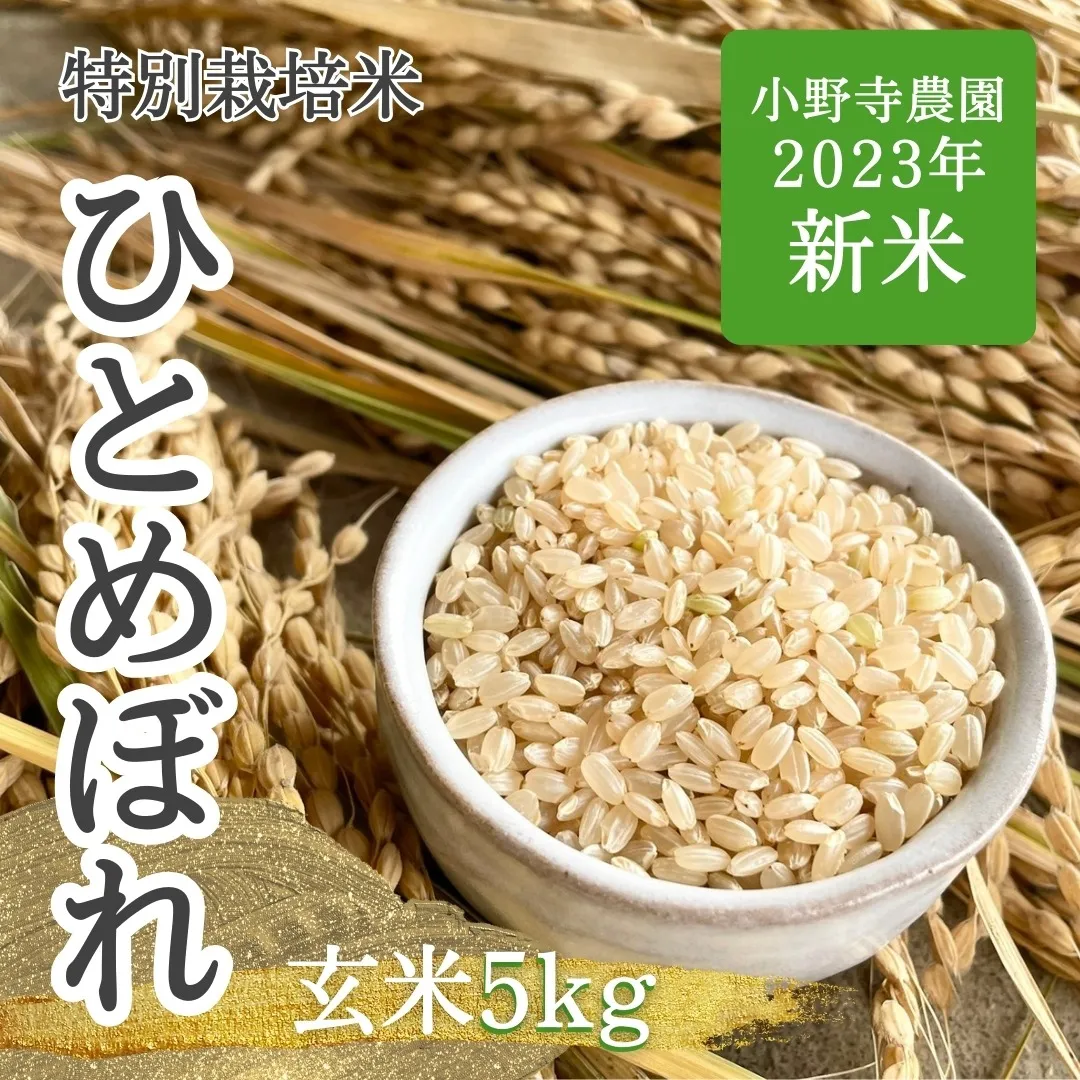 【新米】ひとめぼれ 特別栽培米【玄米】5kg<br>(送料無料）