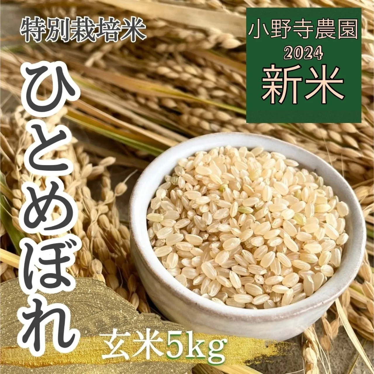 【新米】ひとめぼれ 特別栽培米【玄米】5kg<br>(送料無料）