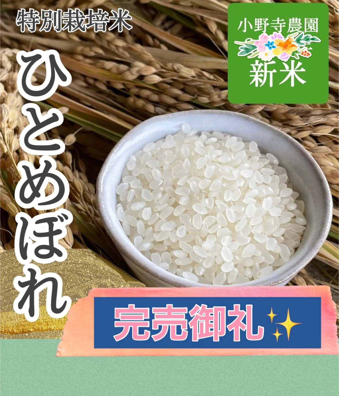 おかげさまで、ミアヴァート店頭販売とウェブ販売しておりました...