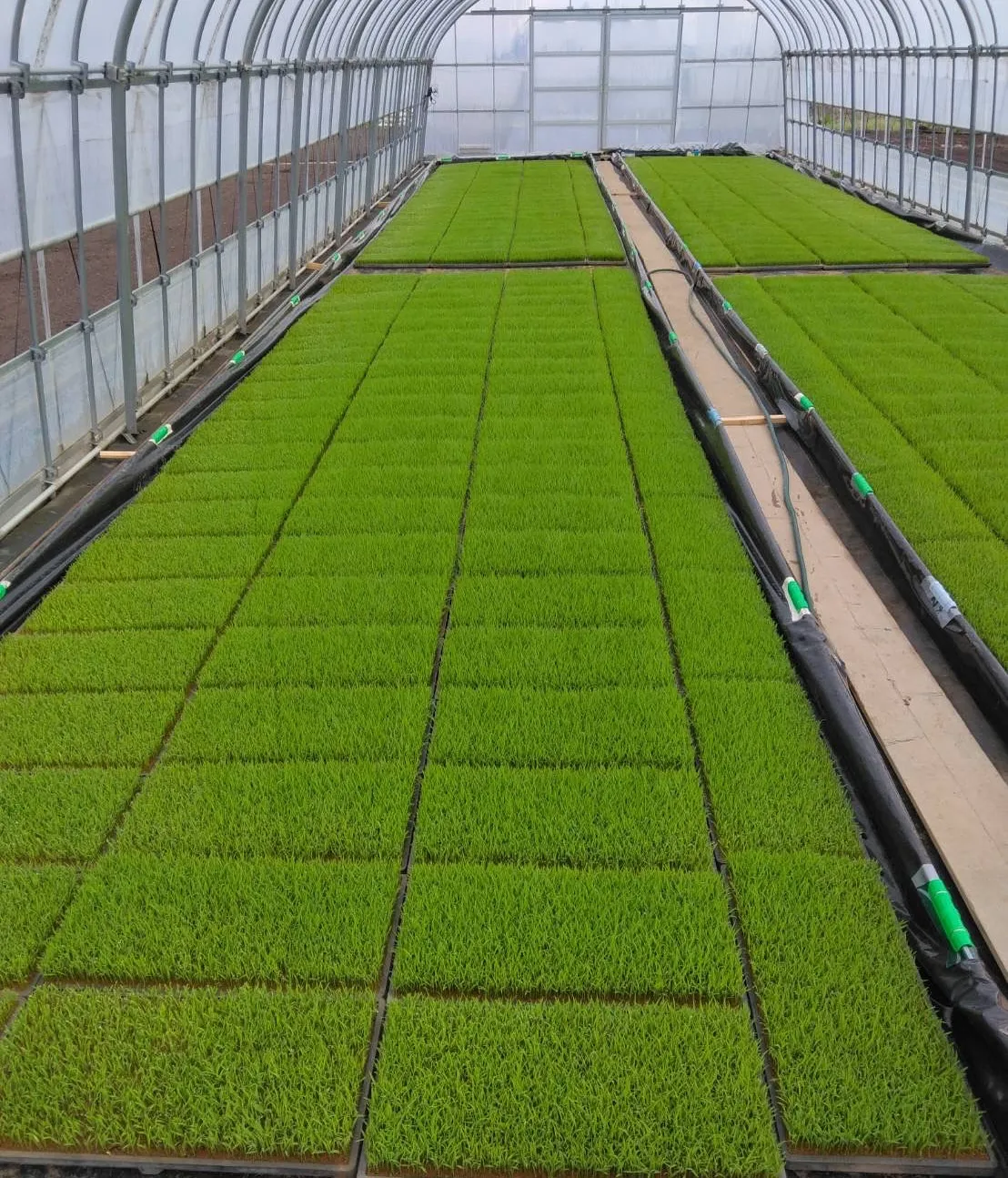 おかげさまで、ミアヴァート店頭販売とウェブ販売しておりました...